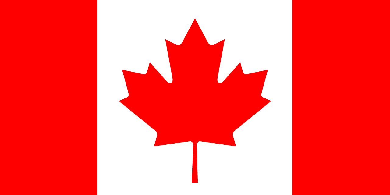 *crickets chirping for a week* I am so sorry for not updating you for over a week but that’s because *fireworks exploding* I’VE MOVED TO CANADA cover image